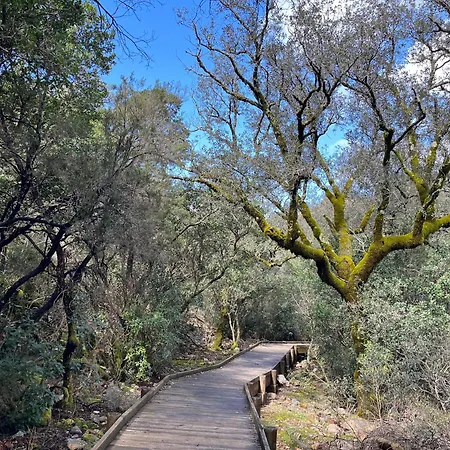 בית נופש La Casina De