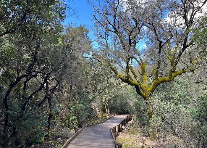 בית נופש La Casina De